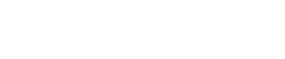 SHINBISM | シンビズム | 信州ミュージアム・ネットワークが選んだ作家たち