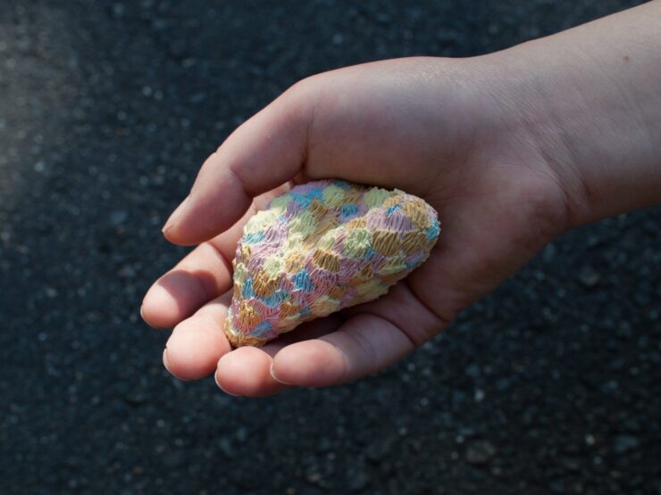 《ドロップ ピンク》2017年